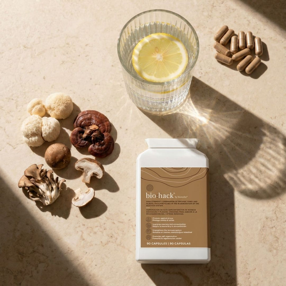 productivity Pack | Nootropics and Adaptogens